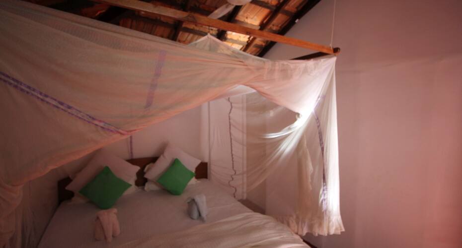 Dropadi Inn On the Beach, Goa 5